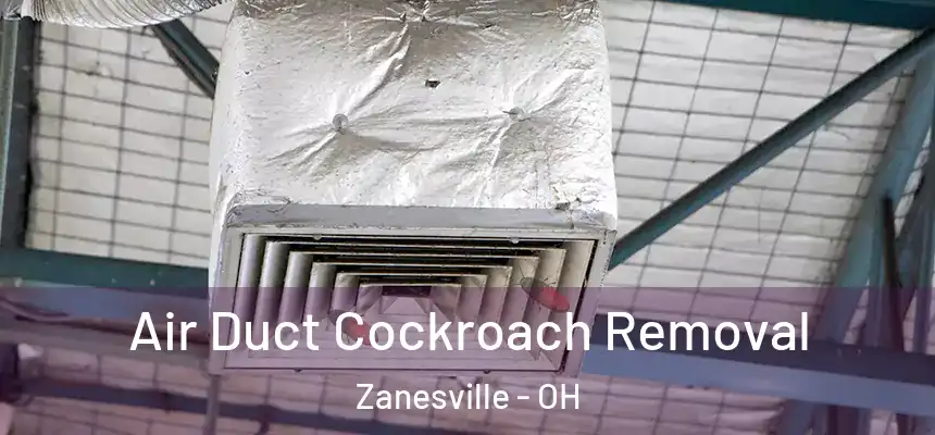 Air Duct Cockroach Removal Zanesville - OH
