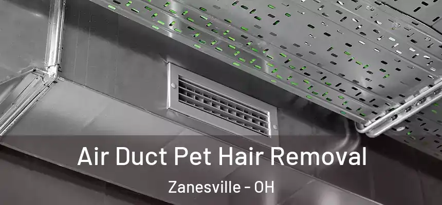  Air Duct Pet Hair Removal Zanesville - OH