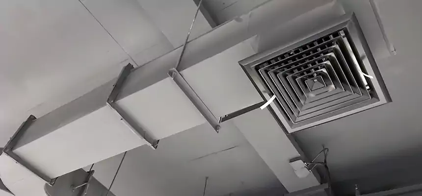 Restorative Allergy Relief Vent Cleaning – Coil, Blower & Housing Detail in Zanesville