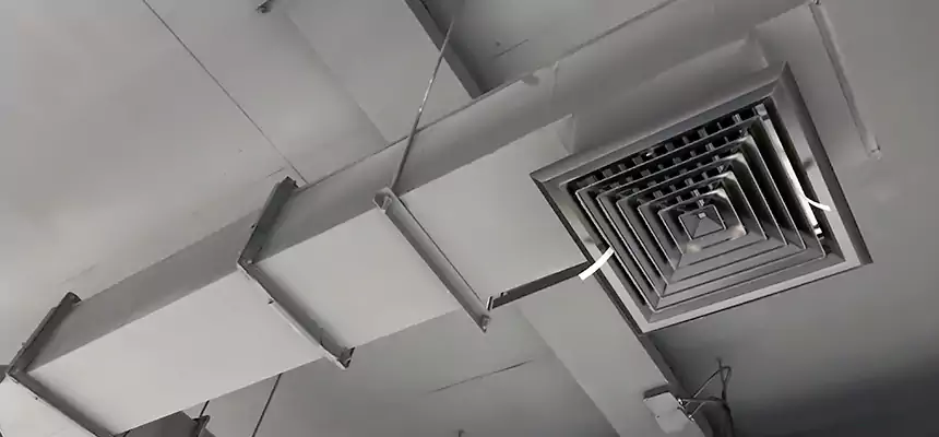 Our Rodent Droppings In Vents Services in Zanesville, OH