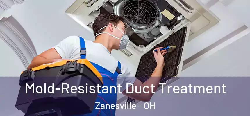  Mold-Resistant Duct Treatment Zanesville - OH