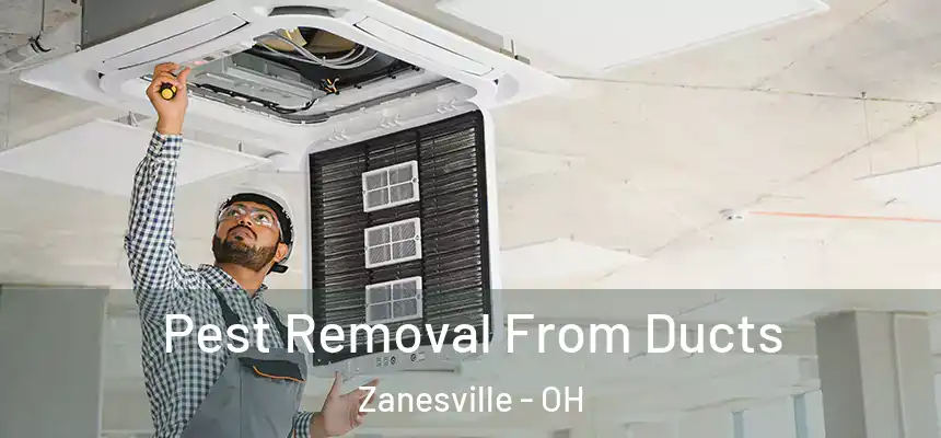  Pest Removal From Ducts Zanesville - OH