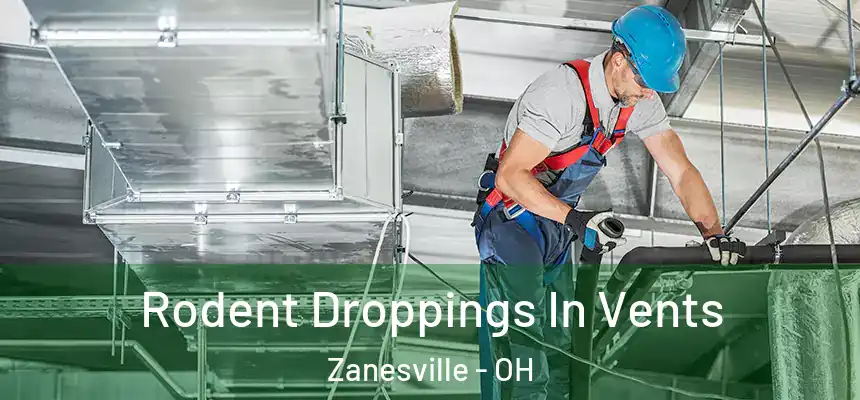  Rodent Droppings In Vents Zanesville - OH